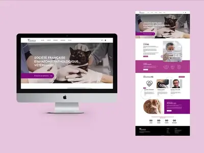 SFAPV · Création de site internet